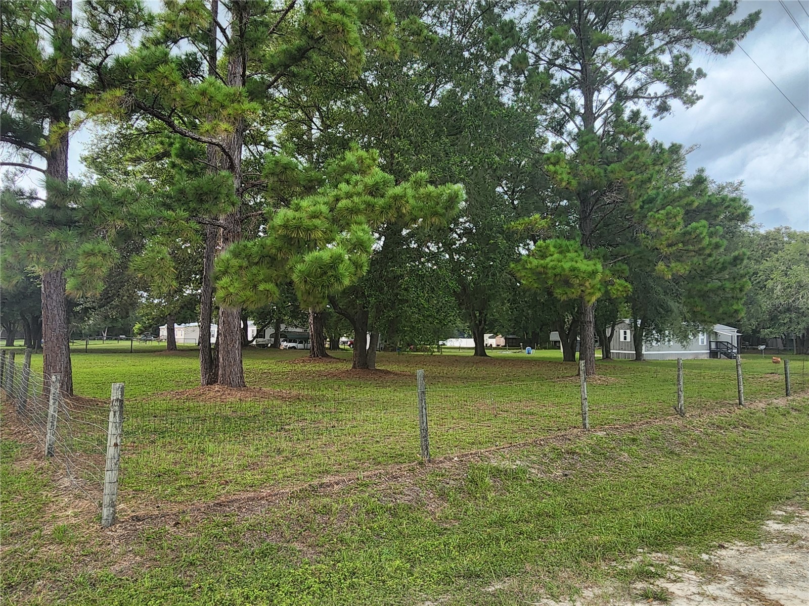 21771 SE 62nd Street Morriston FL 32668 OM728057 image26
