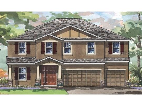 21772 Emory Oak Place Land O Lakes FL 34637 T3323281 image1