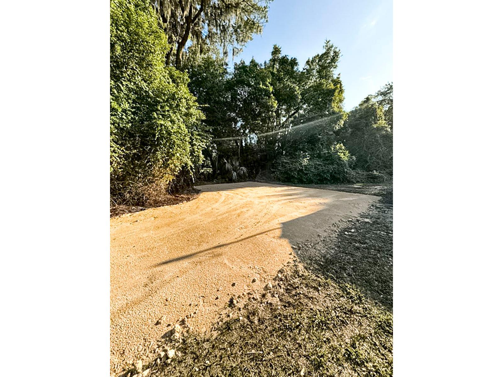 21776 NW 57th Avenue Micanopy FL 32667 W7885453 image29