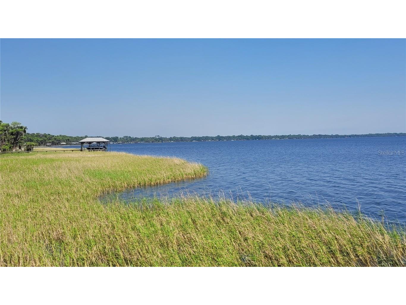 21779 NE 115th Avenue Earleton FL 32631 FC309360 image1