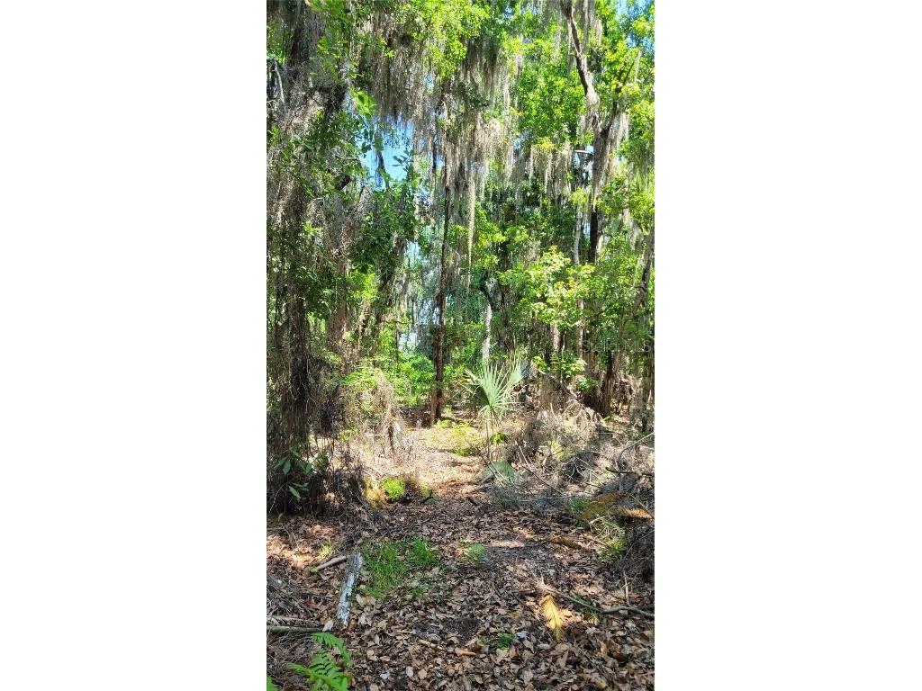 21779 NE 115th Avenue Earleton FL 32631 FC309360 image12