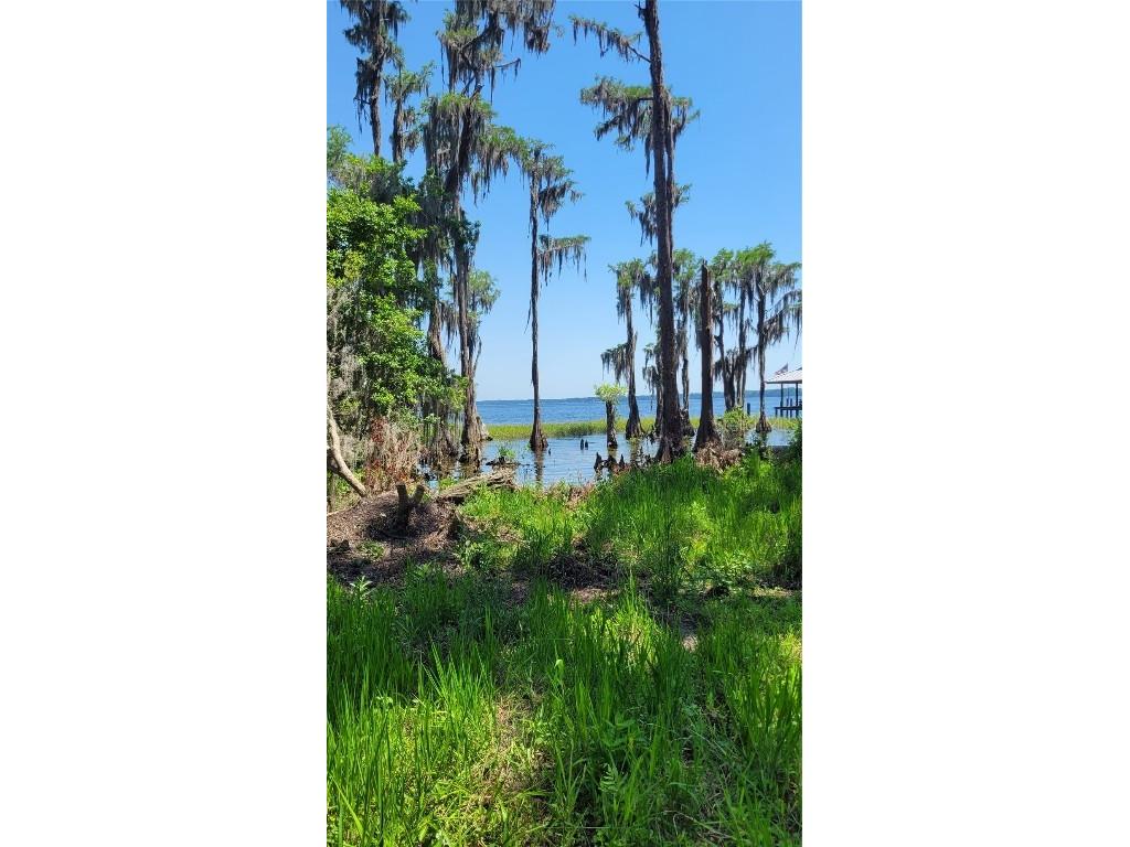 21779 NE 115th Avenue Earleton FL 32631 FC309360 image13