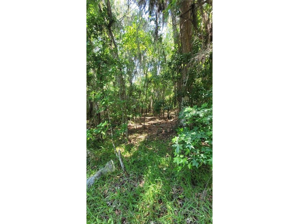 21779 NE 115th Avenue Earleton FL 32631 FC309360 image2