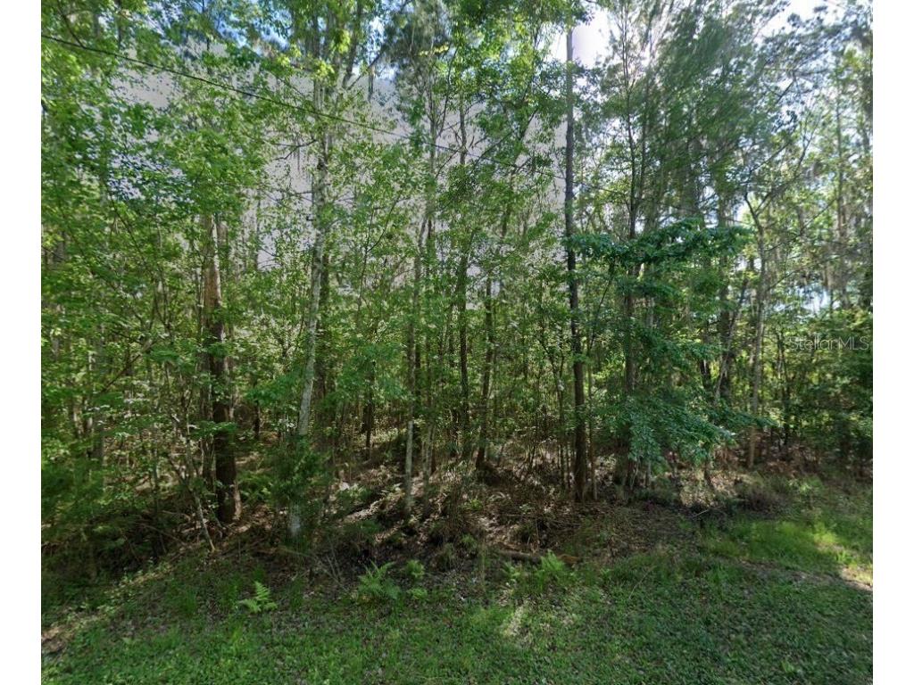 21779 NE 115th Avenue Earleton FL 32631 FC309360 image4