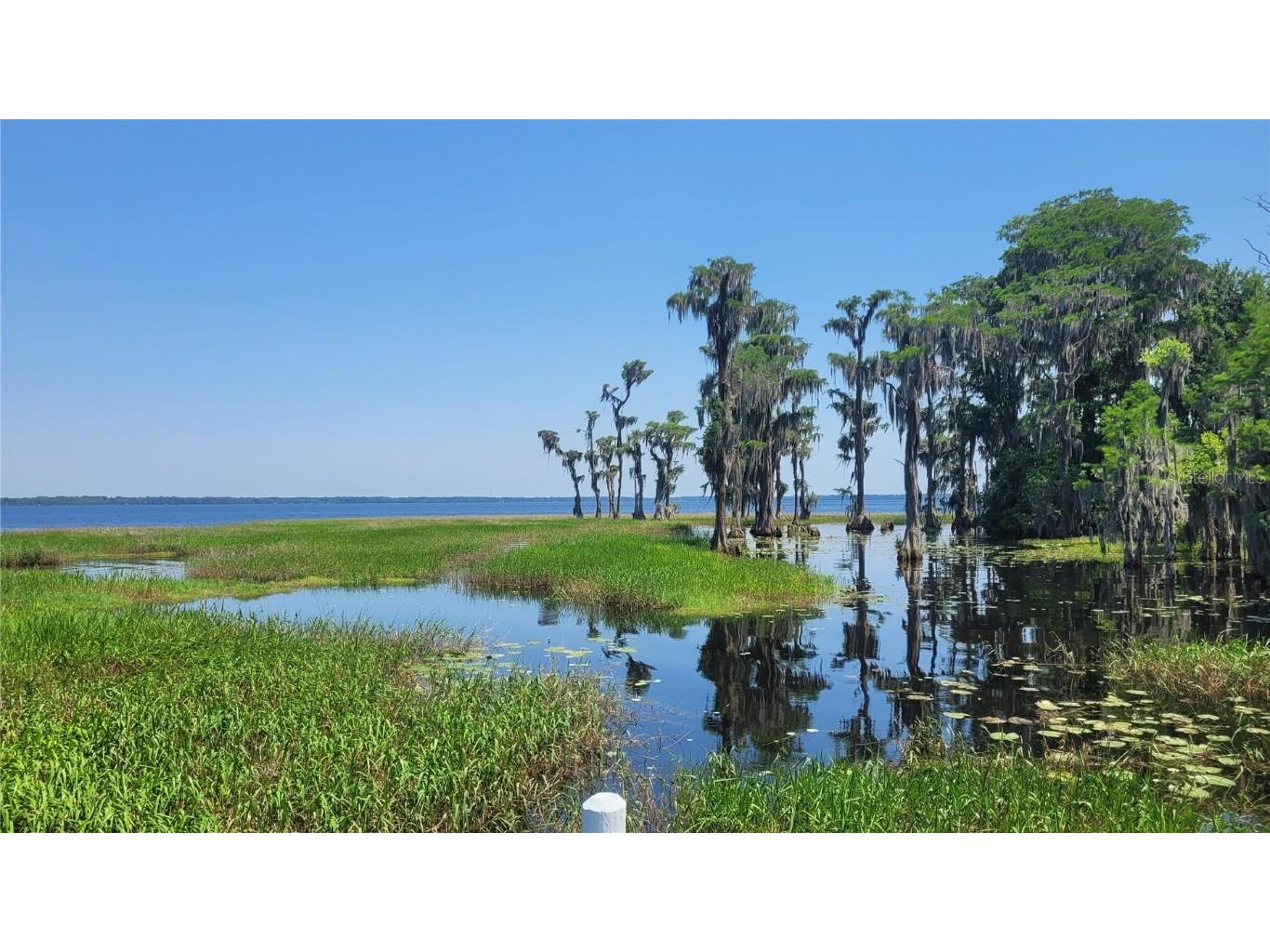 21779 NE 115th Avenue Earleton FL 32631 FC309360 image5