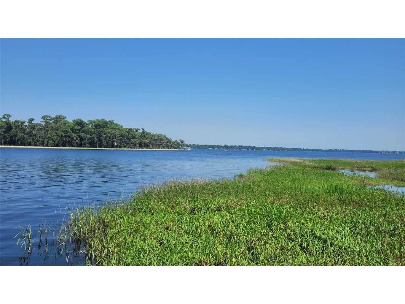 21779 NE 115th Avenue Earleton FL 32631 FC309360 image6