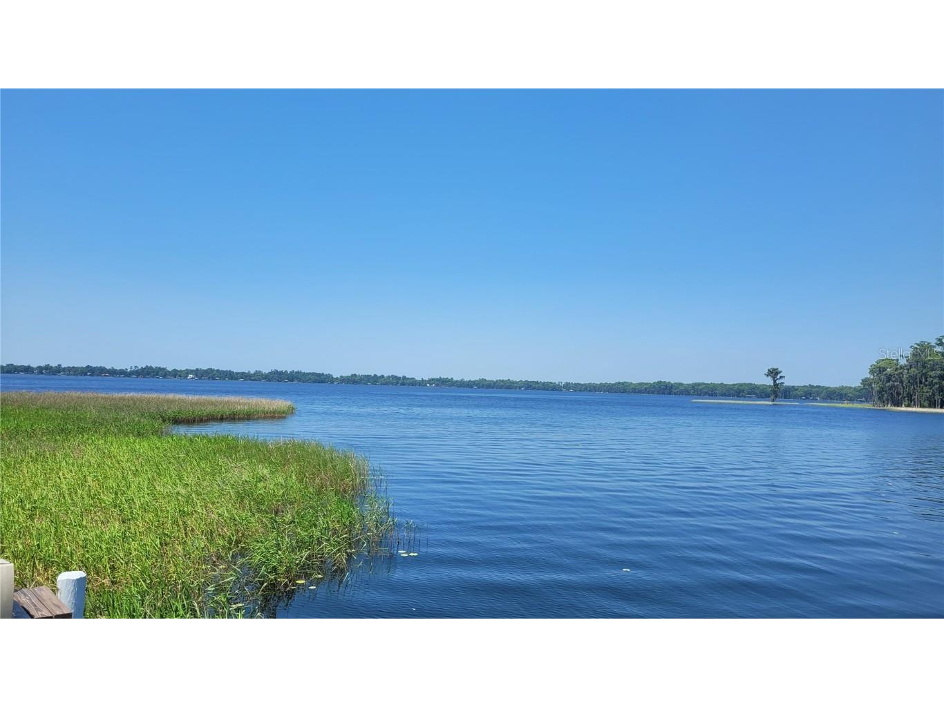 21779 NE 115th Avenue Earleton FL 32631 FC309360 image7