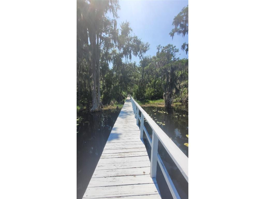 21779 NE 115th Avenue Earleton FL 32631 FC309360 image9