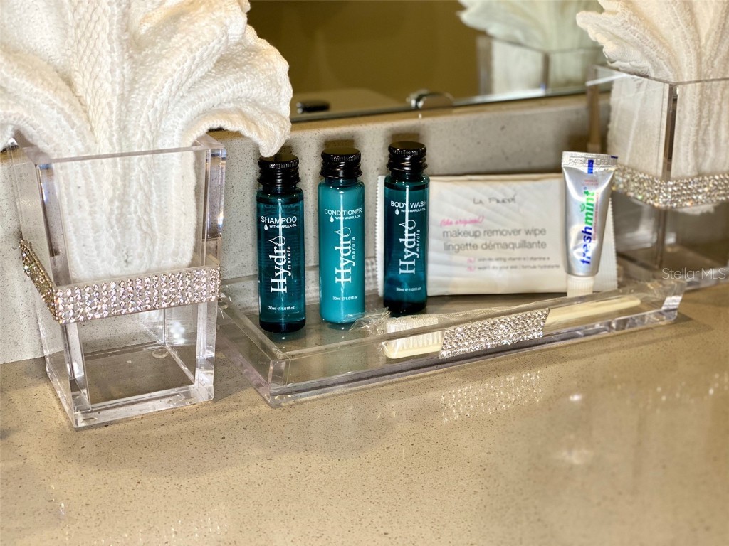 2178 Cooper Bell Place Kissimmee FL 34747 O6211969 image42