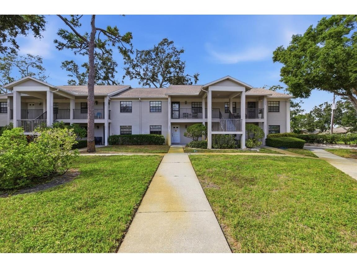 2178 Elm Street #1007 Dunedin FL 34698 TB8447404 image1