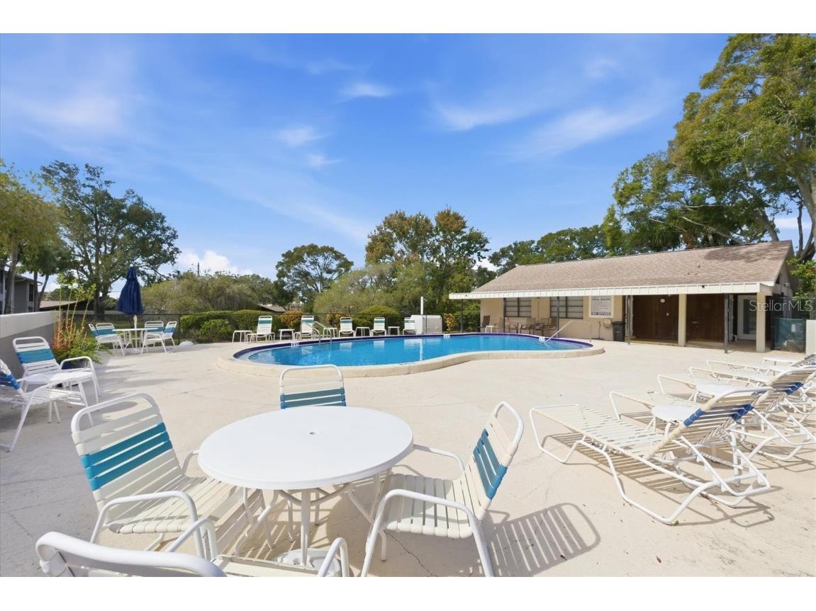 2178 Elm Street #1007 Dunedin FL 34698 TB8447404 image26