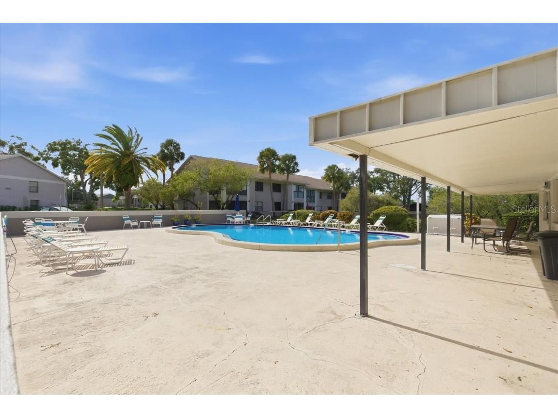 2178 Elm Street #1007 Dunedin FL 34698 TB8447404 image27