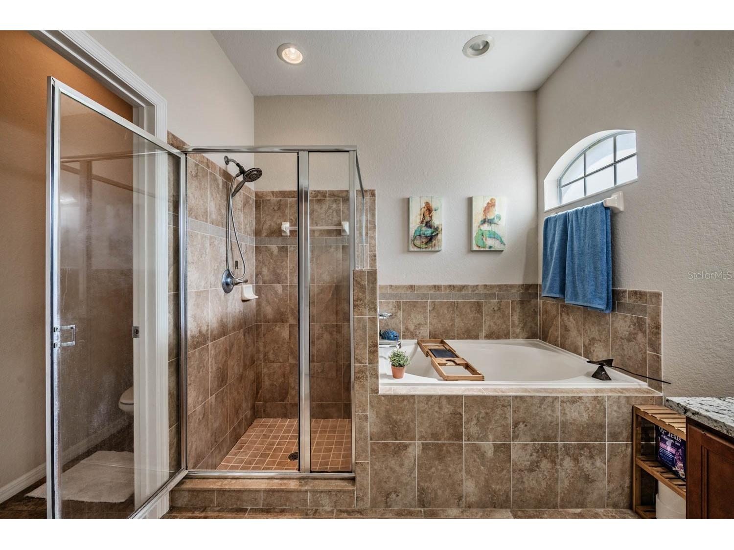 2178 Geneva Drive Lakeland FL 33805 TB8507884 image24