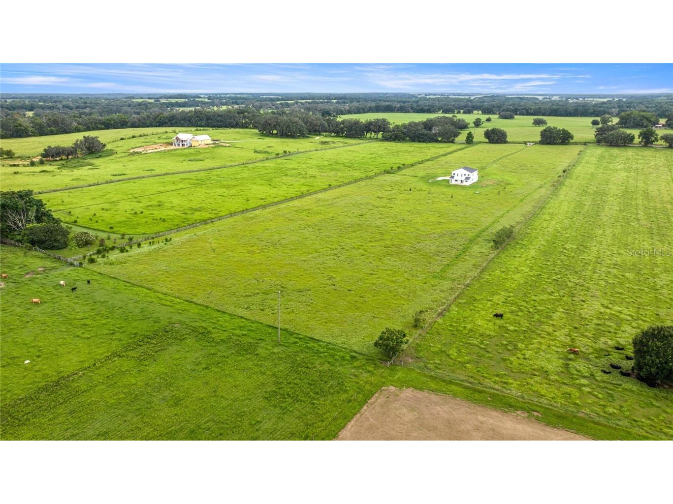 21786 NW 27th Street Morriston FL 32668 OM708110 image59