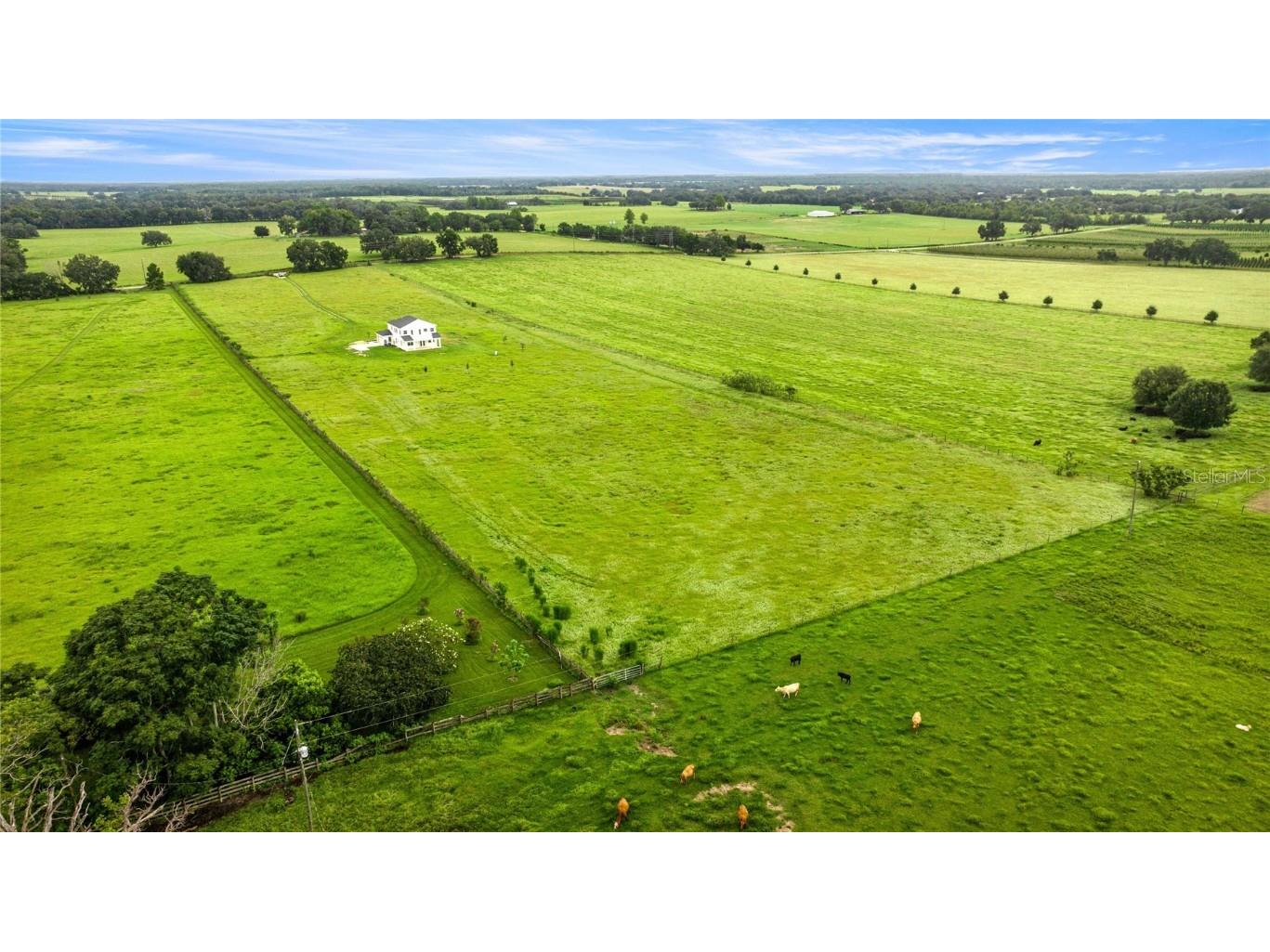 21786 NW 27th Street Morriston FL 32668 OM708110 image60