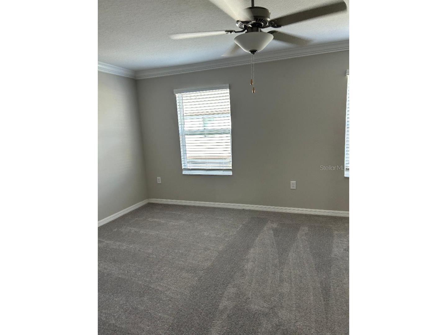 2179 Azure View Way Lutz FL 33558 TB8517150 image10