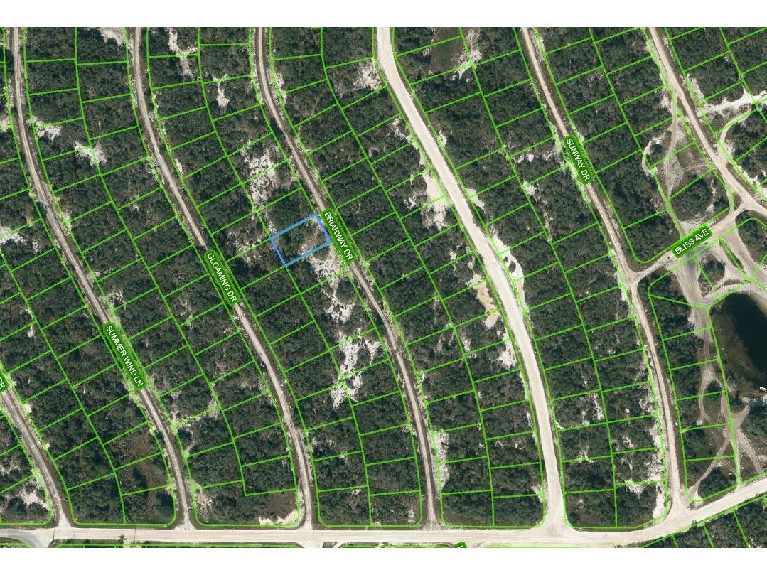 218 Briarway Drive Lake Placid FL 33852 OM623569 image1