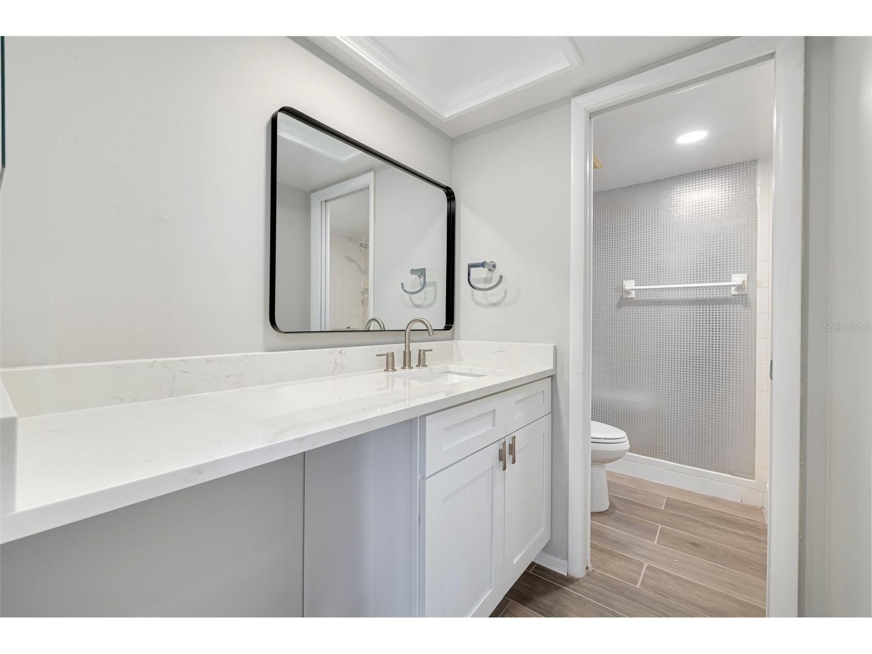 218 Caryl Way Oldsmar FL 34677 TB8495651 image19