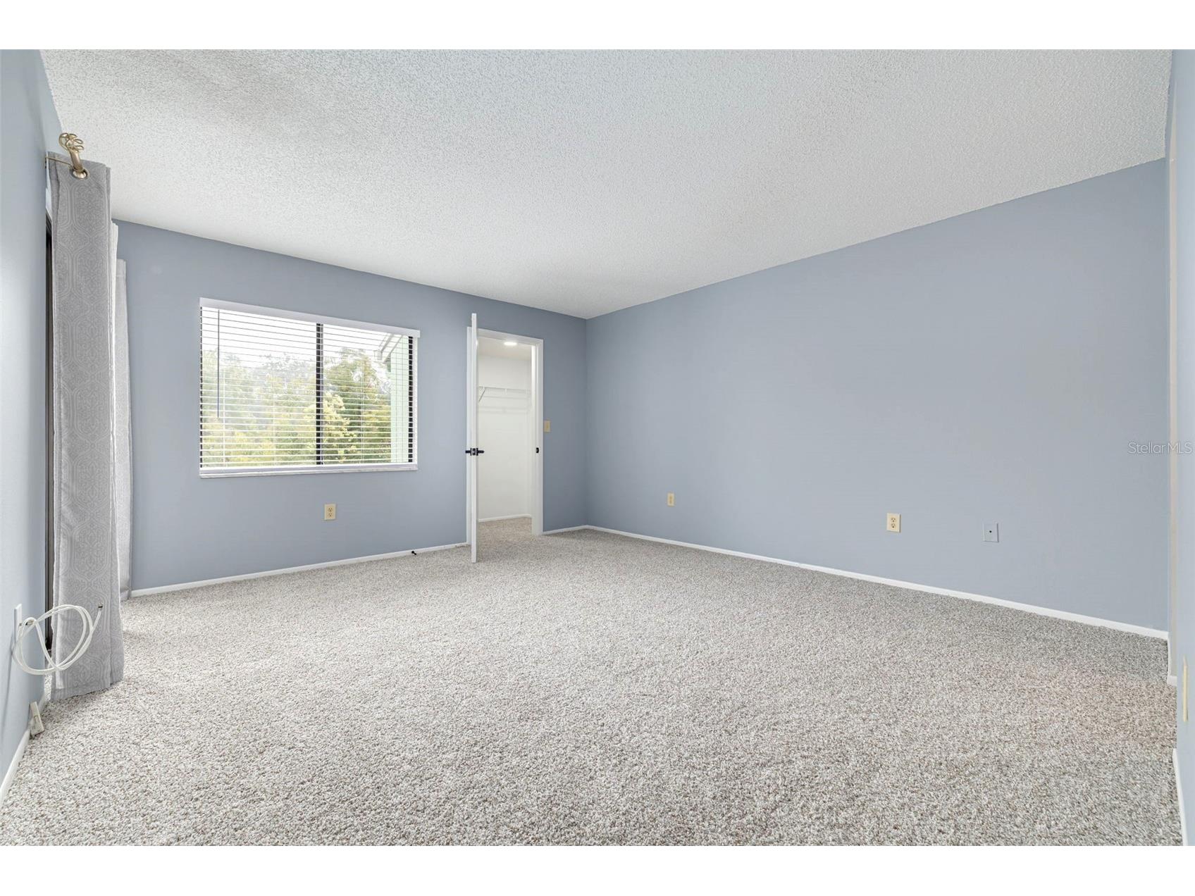 218 Caryl Way Oldsmar FL 34677 TB8495651 image24
