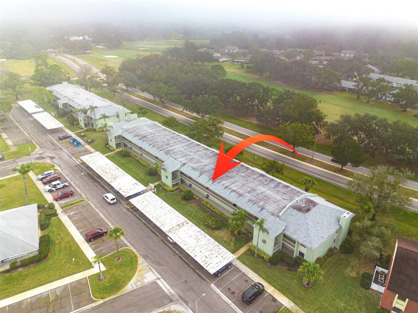 218 Caryl Way Oldsmar FL 34677 TB8495651 image31