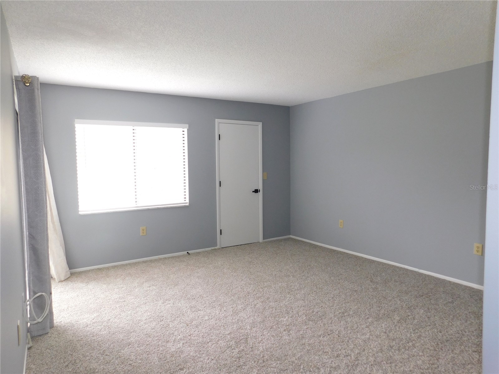 218 Caryl Way Oldsmar FL 34677 TB8499124 image12