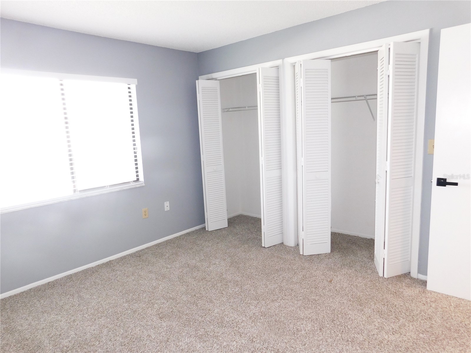 218 Caryl Way Oldsmar FL 34677 TB8499124 image19