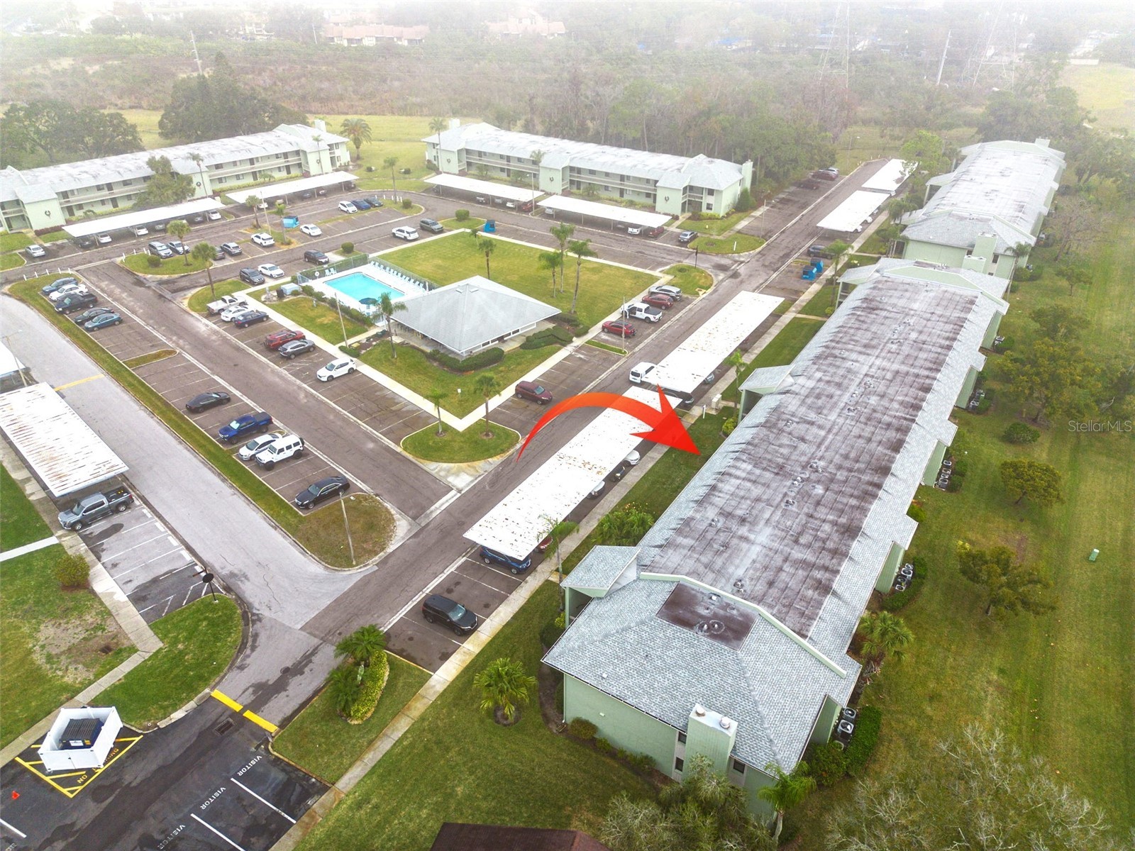 218 Caryl Way Oldsmar FL 34677 TB8499124 image27