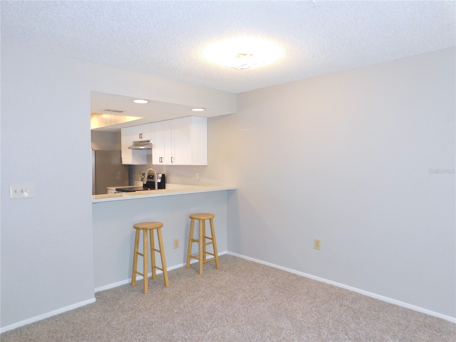 218 Caryl Way Oldsmar FL 34677 TB8499124 image9
