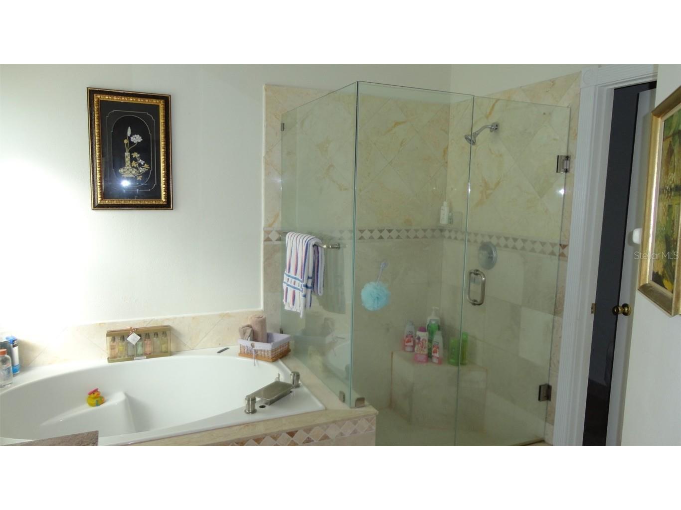 218 Cornwallis Drive Davenport FL 33897 O6343729 image15