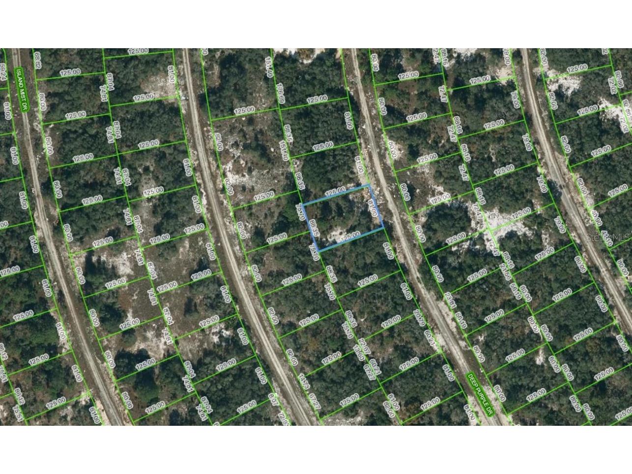 218 Deep Purple Drive Lake Placid FL 33852 OM623560 image1