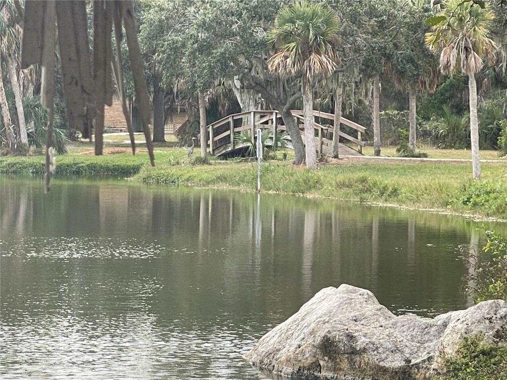 218 Dogwood Circle Seminole FL 33777 TB8441516 image48