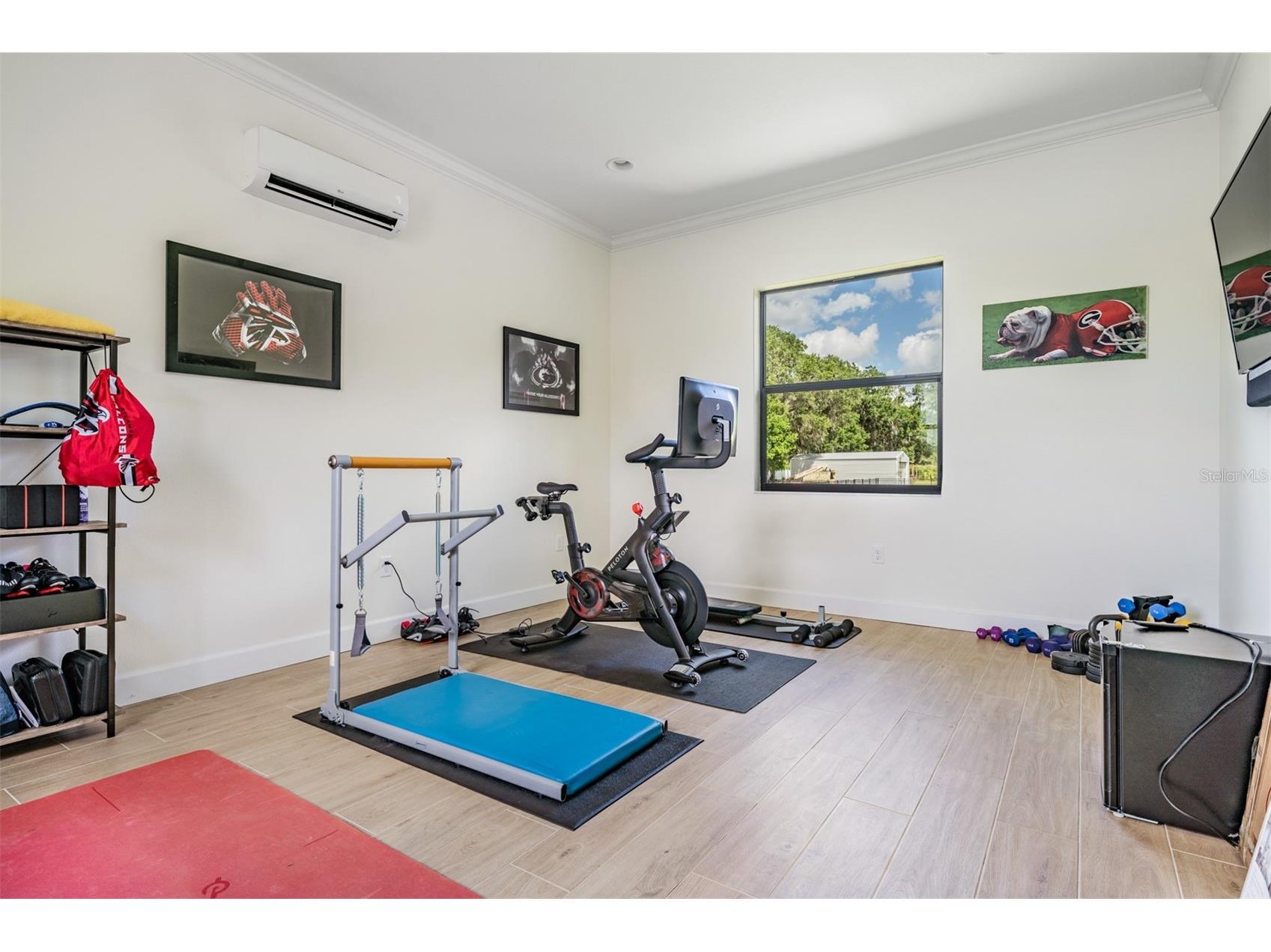 218 Hawk Talon Drive Lithia FL 33547 TB8522051 image47