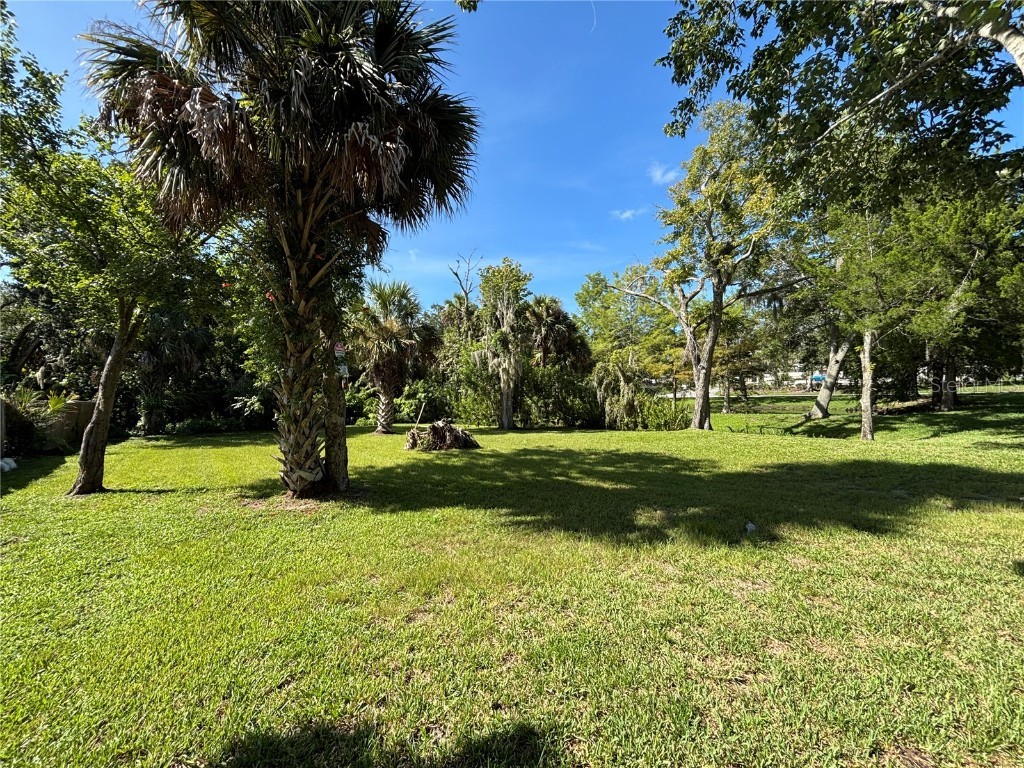 218 Herbert Street Port Orange FL 32129 O6336052 image6