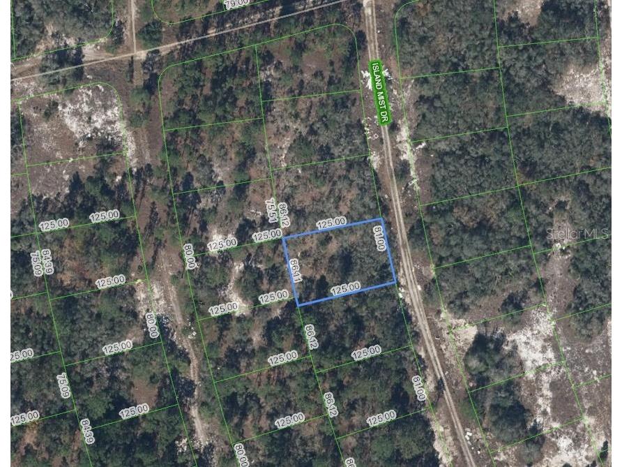 218 Island Mist Drive Lake Placid FL 33852 OM705763 image1