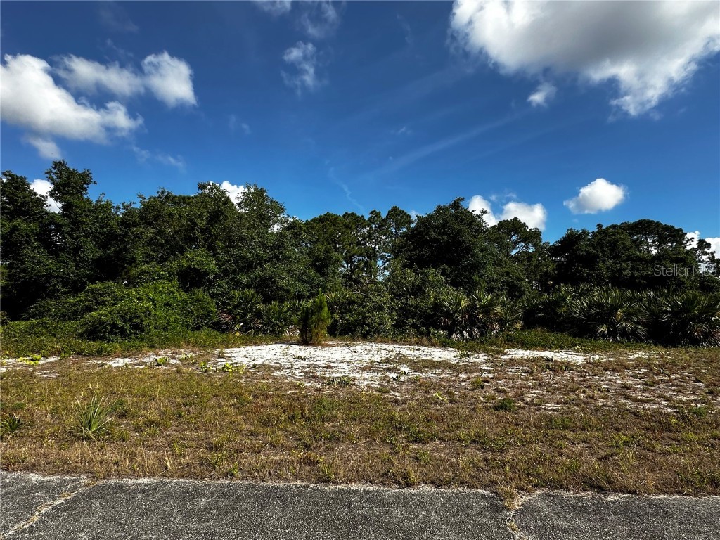 218 Labelle Labelle FL 33935 TB8402004 image3