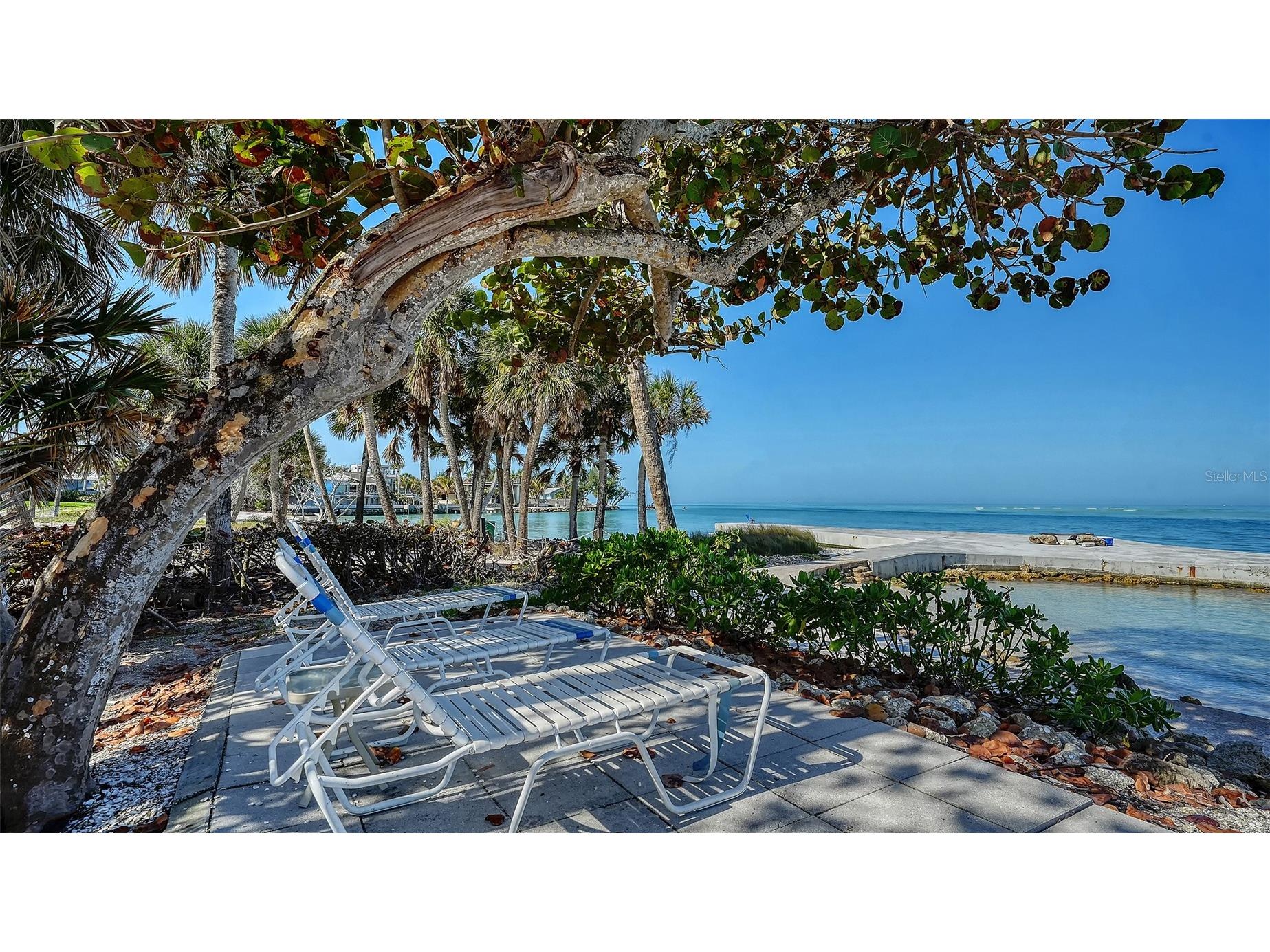 218 Pass Key Road #218 Sarasota FL 34242 - GULF OF MEXICO A4689143 image42