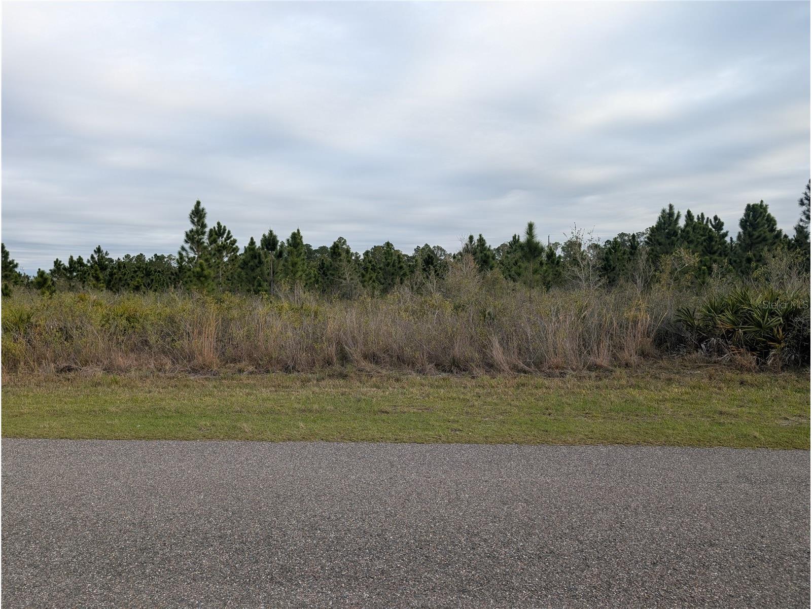 218 Poinciana Drive Indian Lake Estates FL 33855 - LAKE WALK-IN-WATER P4938159 image1