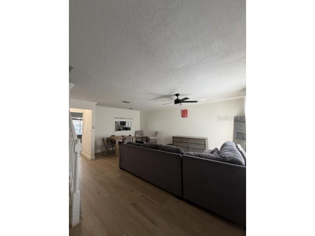 218 S Tampania Avenue Tampa FL 33609 TB8431149 image2