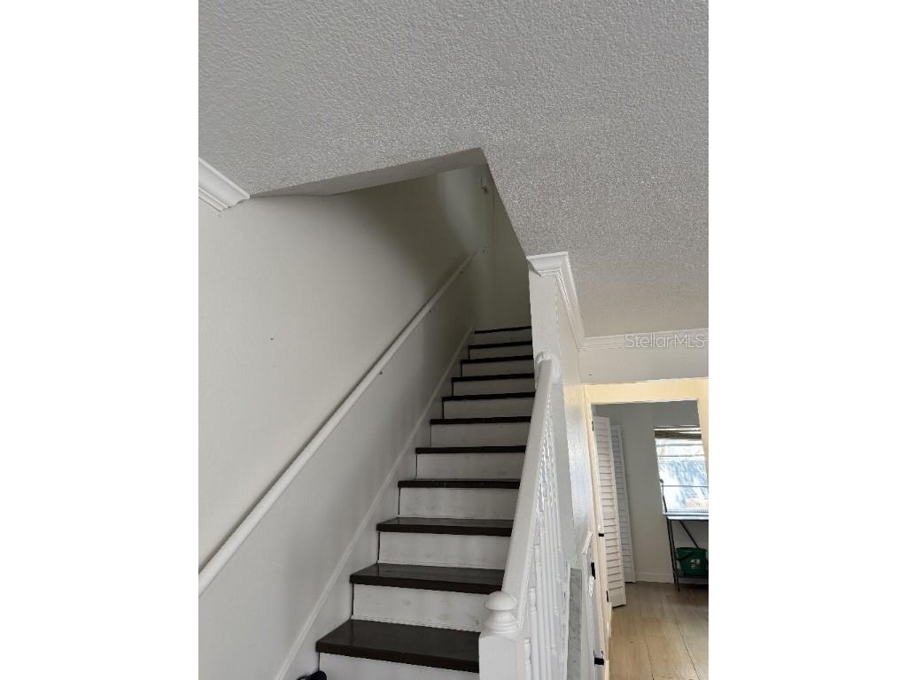 218 S Tampania Avenue Tampa FL 33609 TB8431149 image3