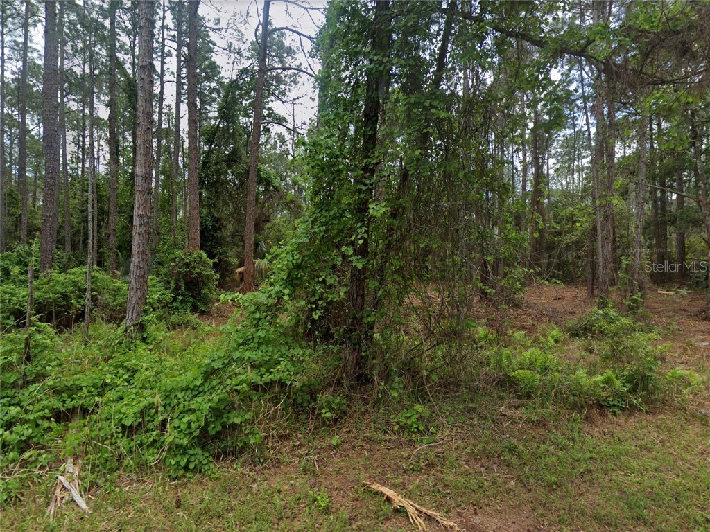 218 SE 1st Street Georgetown FL 32139 O6352953 image3