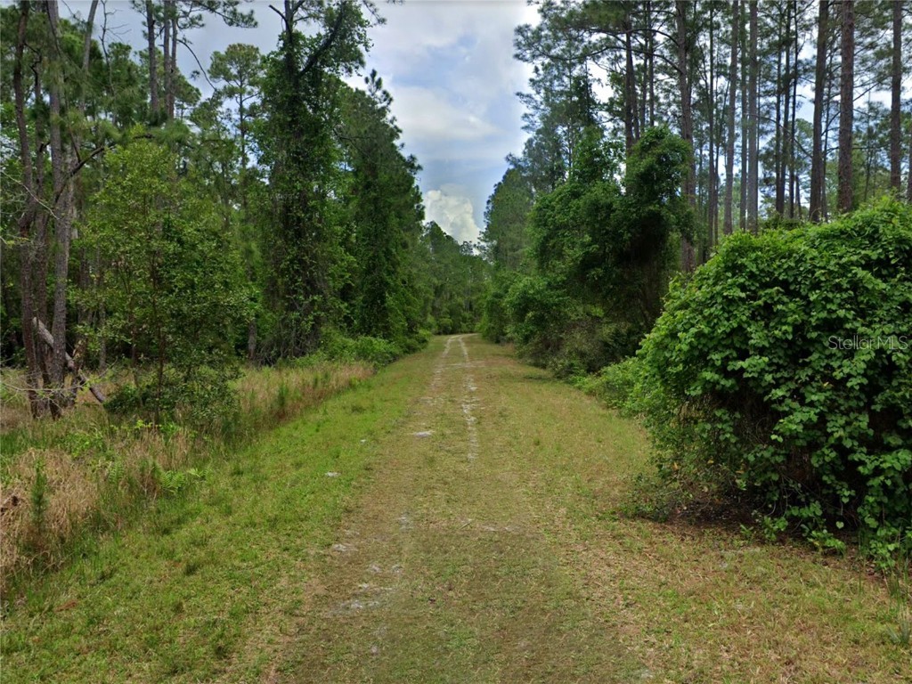 218 SE 1st Street Georgetown FL 32139 O6352953 image6