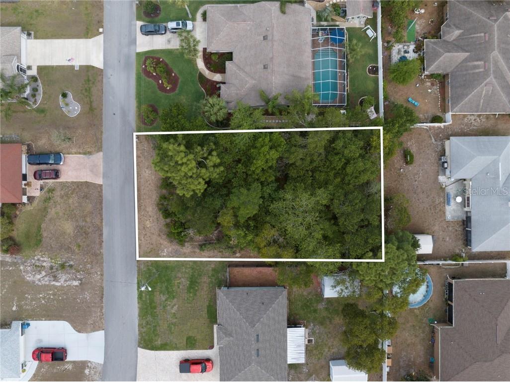 2180 Armadillo Avenue Spring Hill FL 34609 S5082895 image1