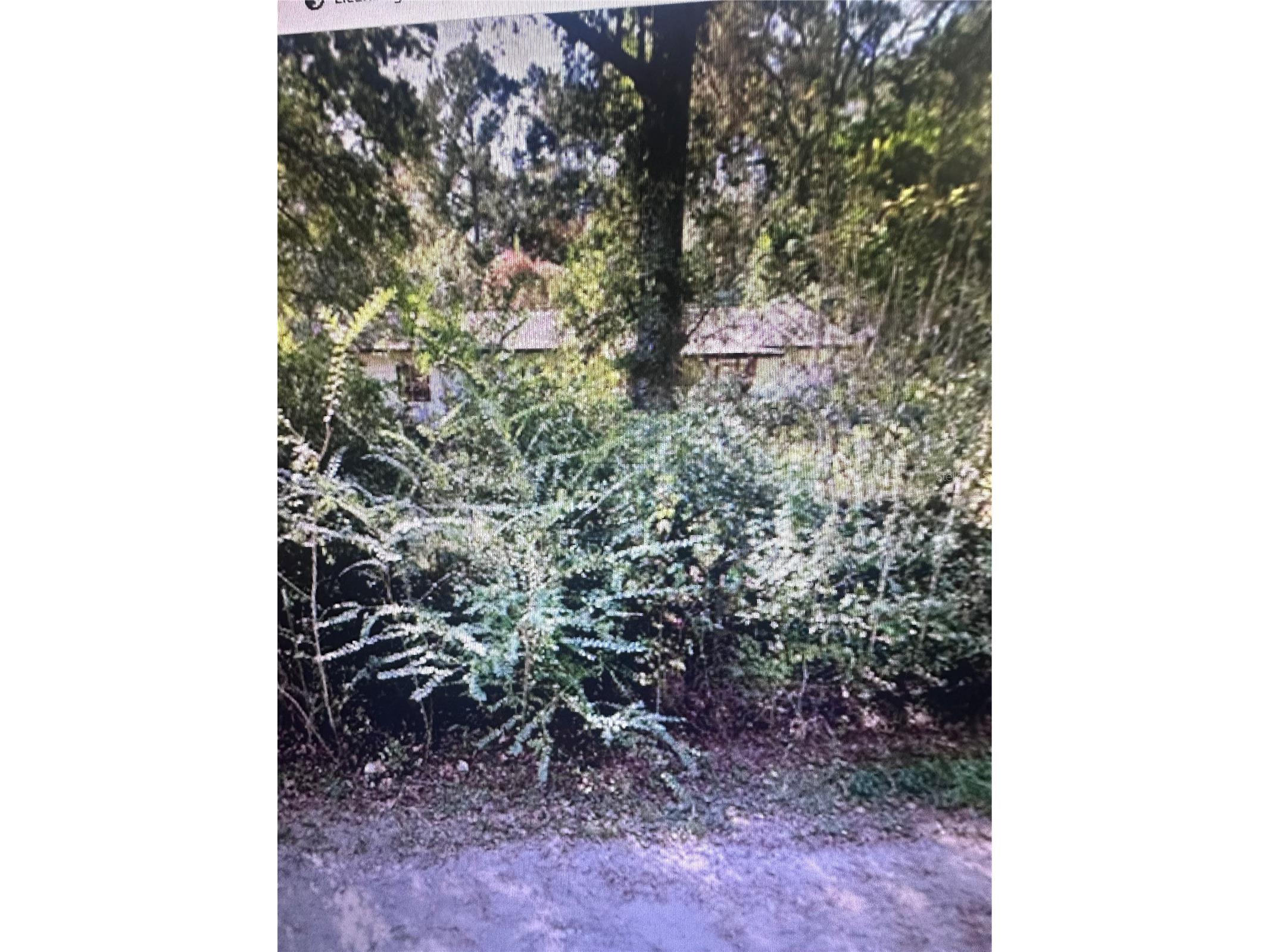 2180 Bonifay Gritney Road Caryville FL 32425 TB8486008 image2