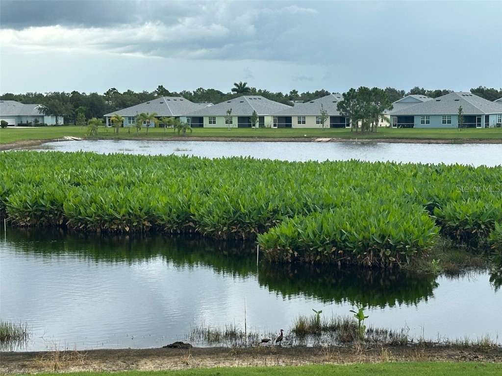 2180 Heron Lake Drive #204 Punta Gorda FL 33983 C7511966 image37