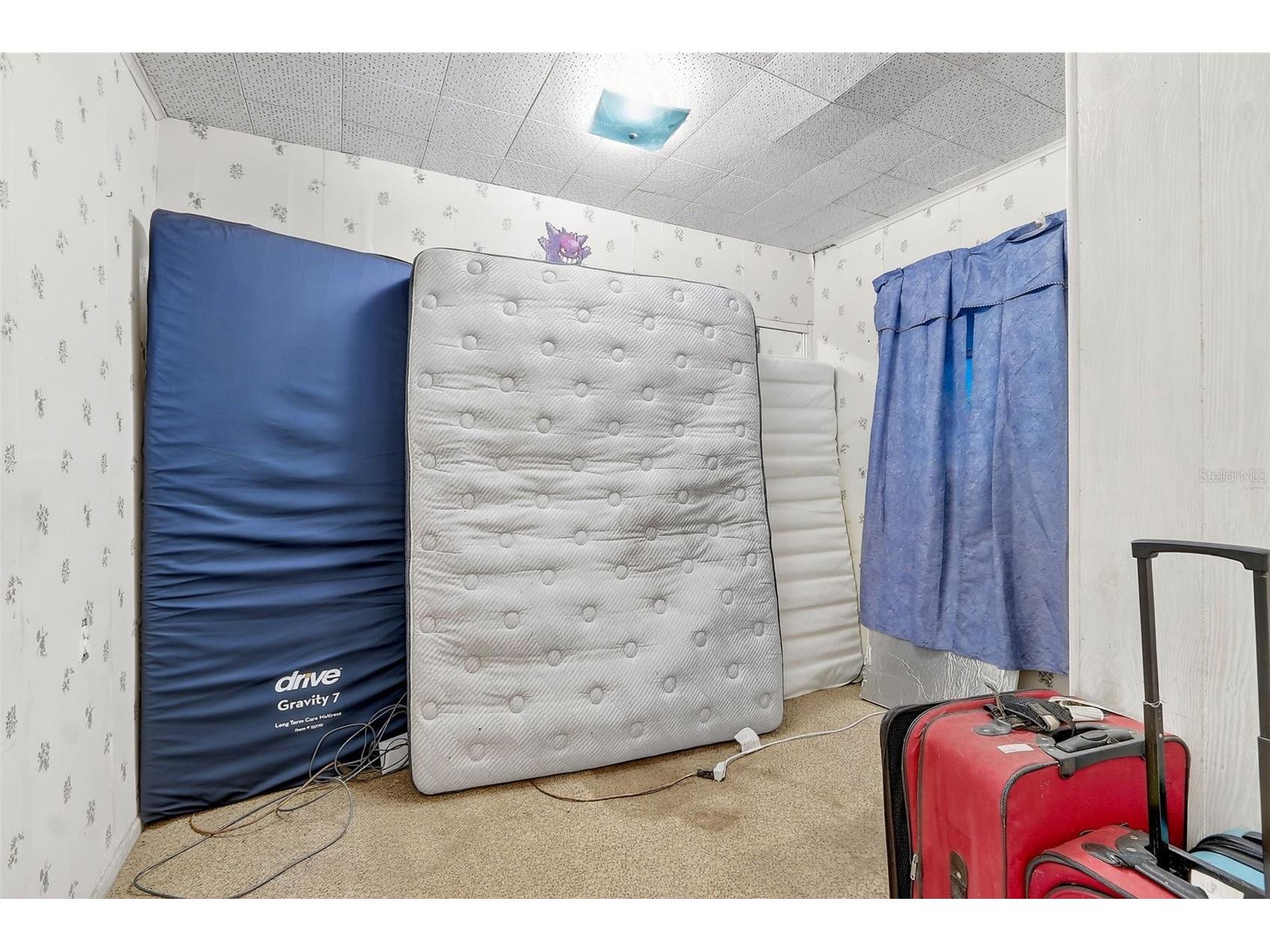 2180 NW 140th Street Citra FL 32113 O6384337 image9