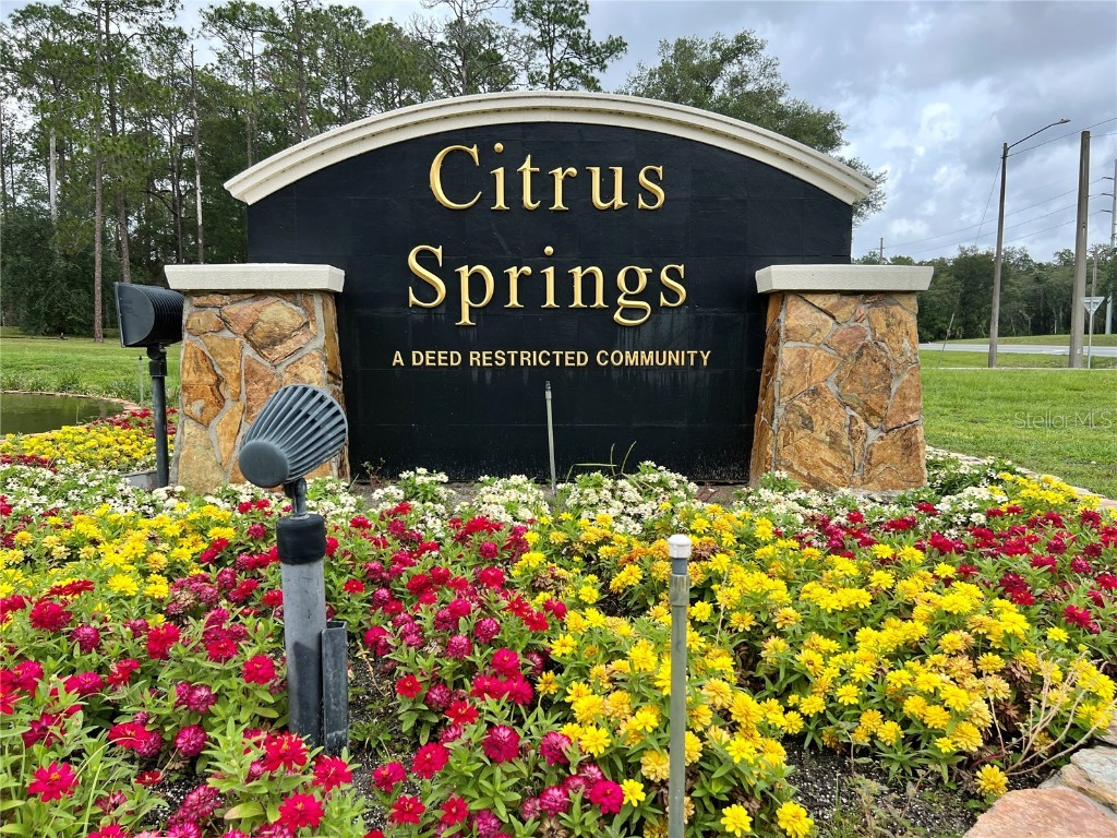 2180 W Kenmore Drive Citrus Springs FL 34434 OM714131 image30