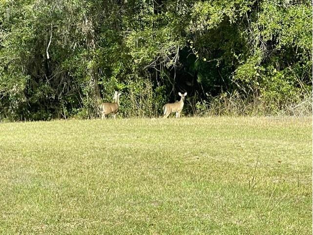21800 SW 15th Avenue Newberry FL 32669 GC540555 image45