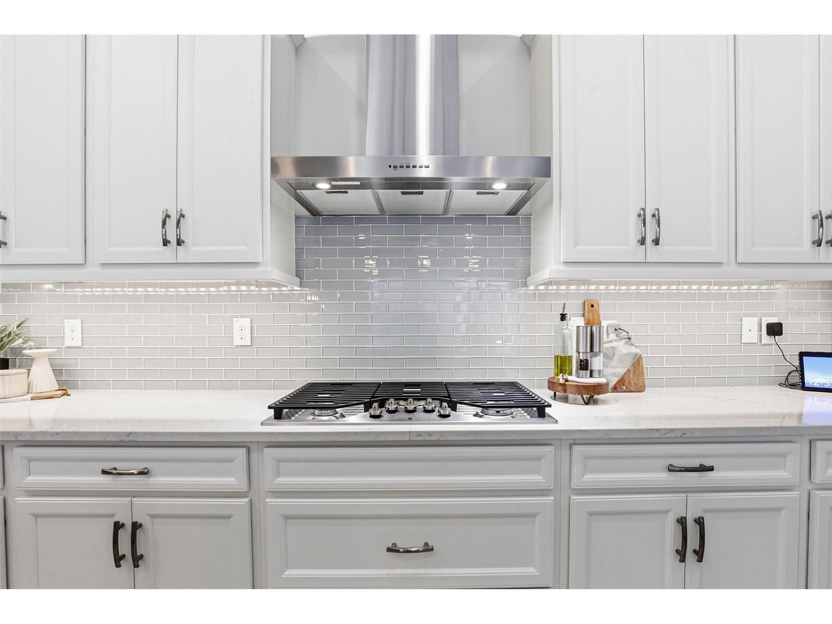 21804 Briske Morning Avenue Land O Lakes FL 34637 TB8490701 image30