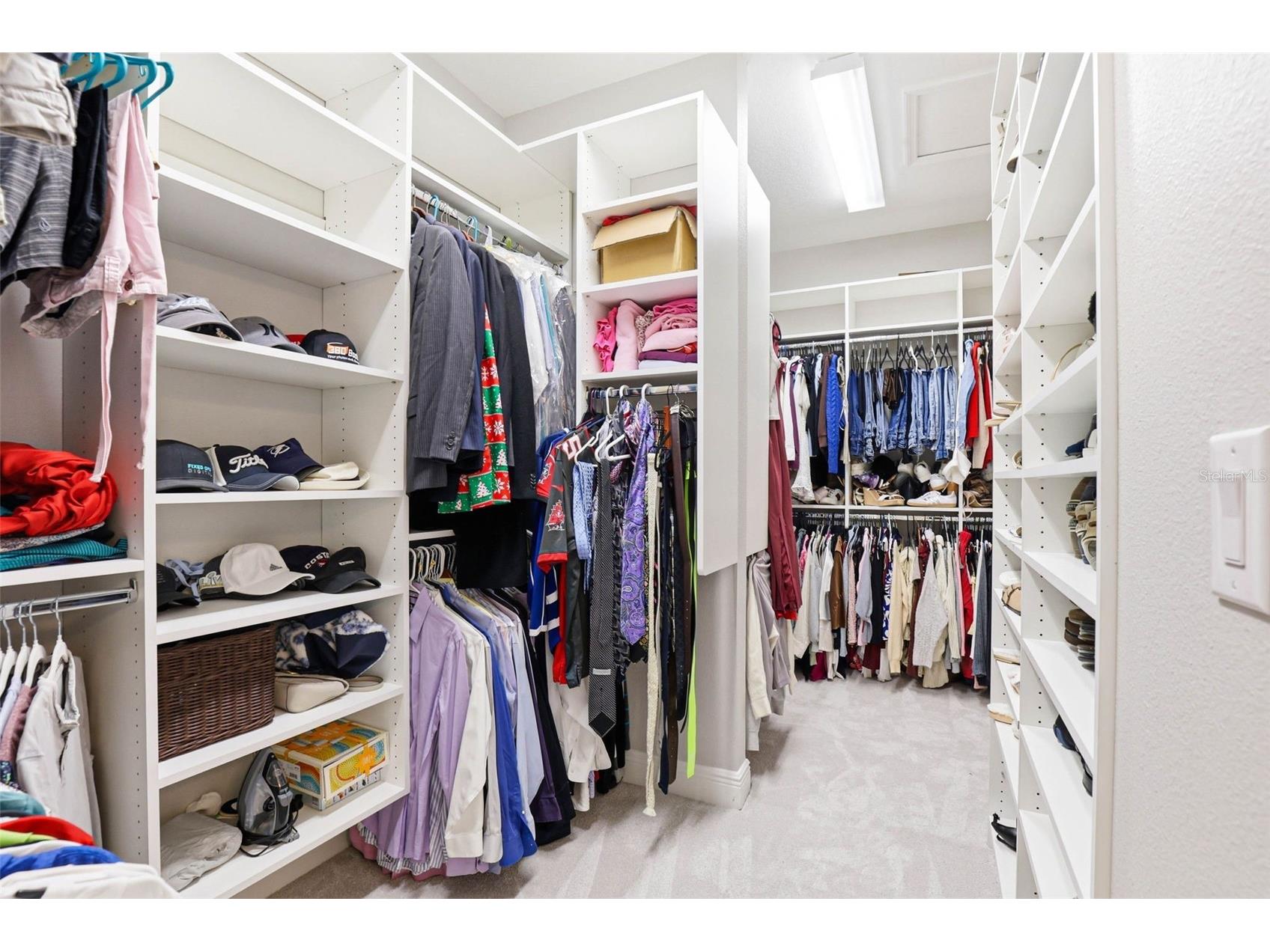 21804 Briske Morning Avenue Land O Lakes FL 34637 TB8490701 image41