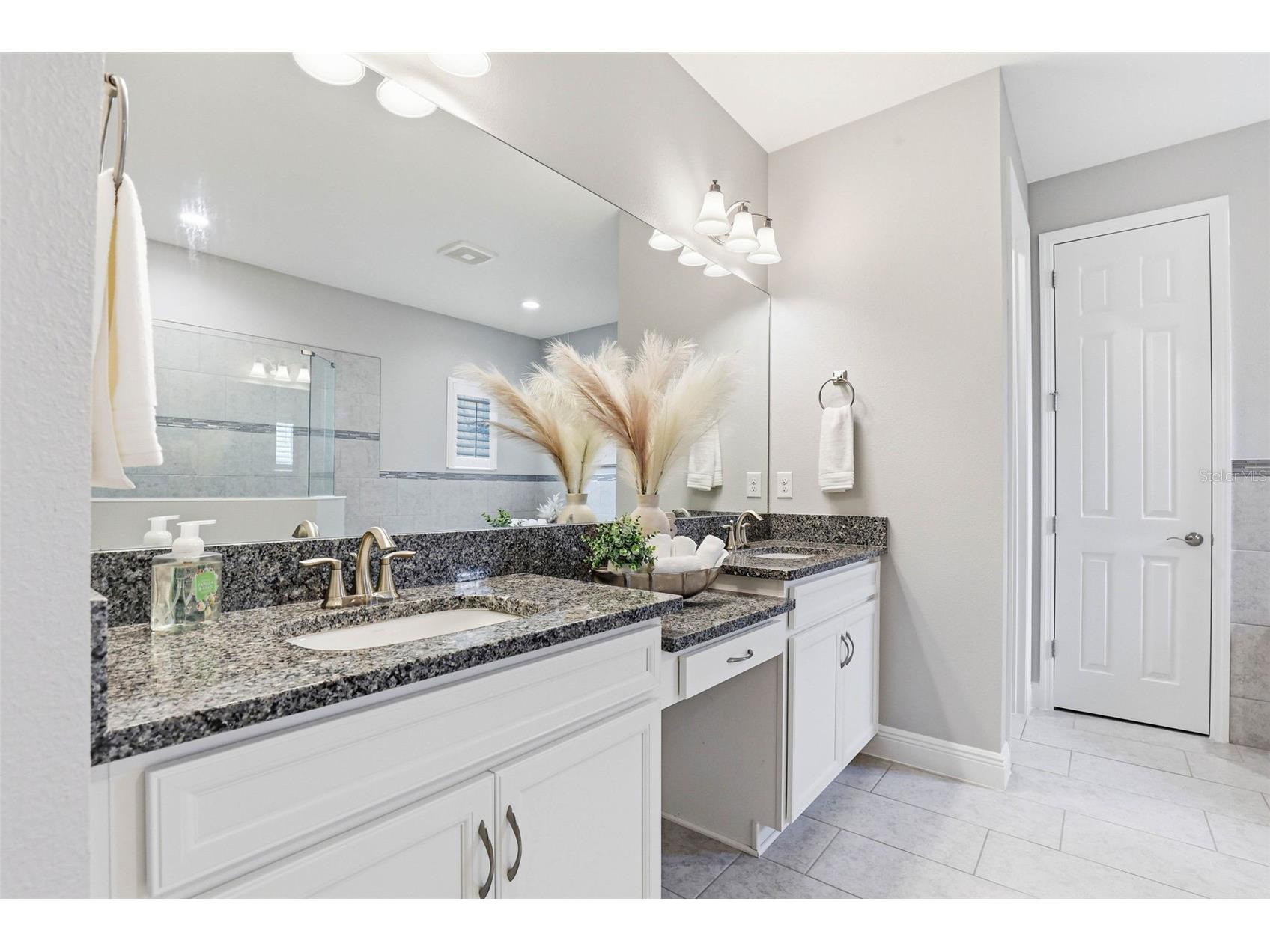 21804 Briske Morning Avenue Land O Lakes FL 34637 TB8490701 image44